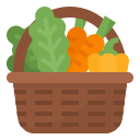vegetables vegetables